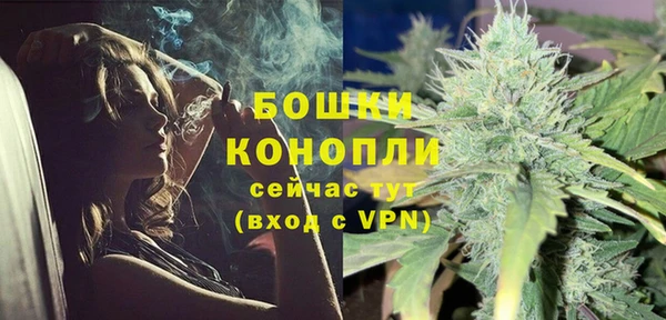 стафф Богородск