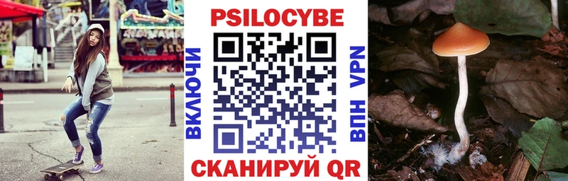 Купить закладки Усмань Галлюциногенные грибы мицелий